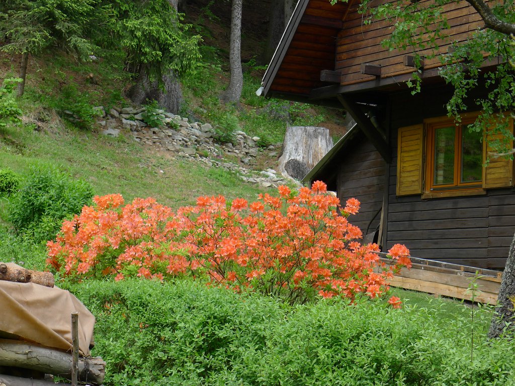 PavlaCzechVisit 148